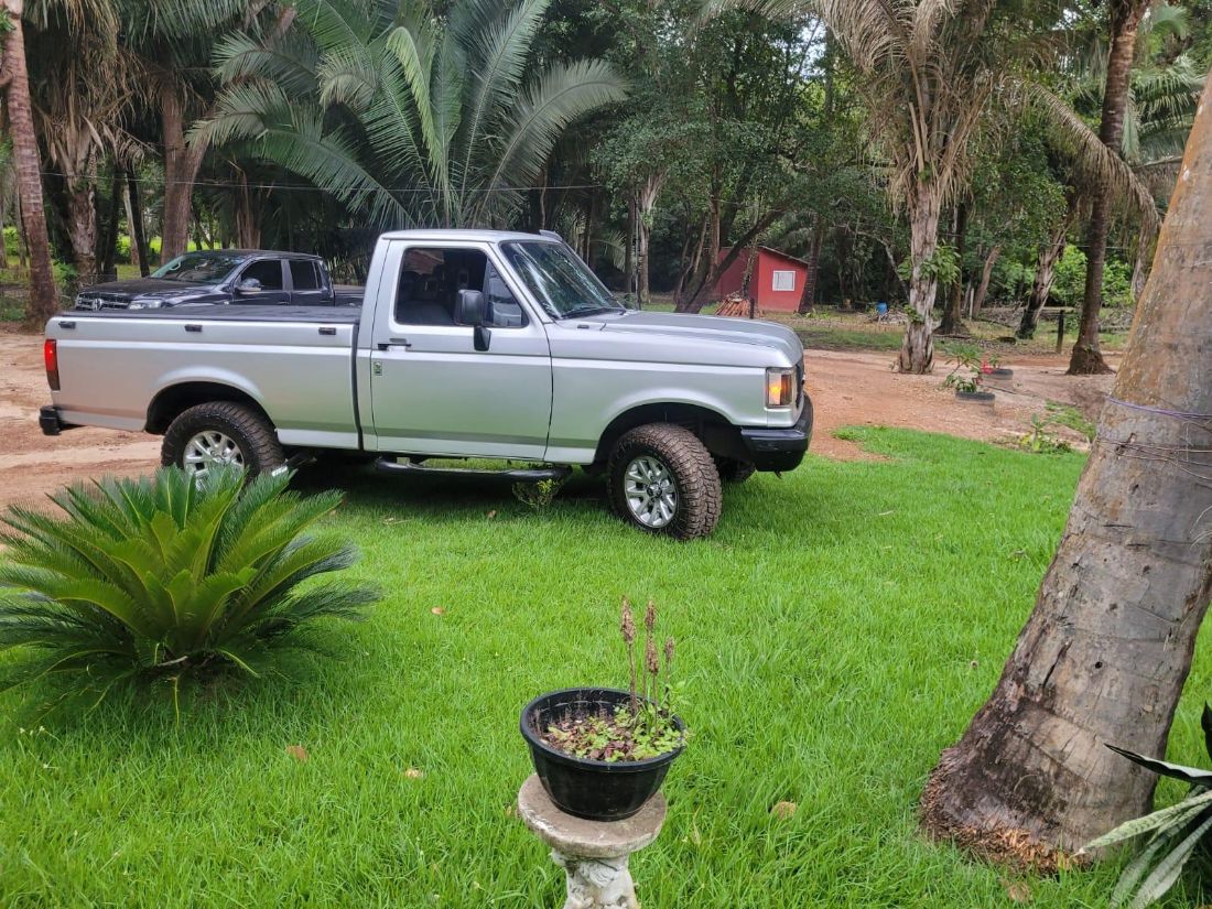 Ford F-1000 Super Série 3.6 1994/1994 — foto 3 de 8