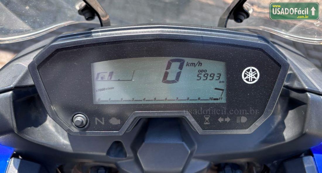 YAMAHA XTZ 250 Tenere BlueFlex 2018/2019 — foto 10 de 11