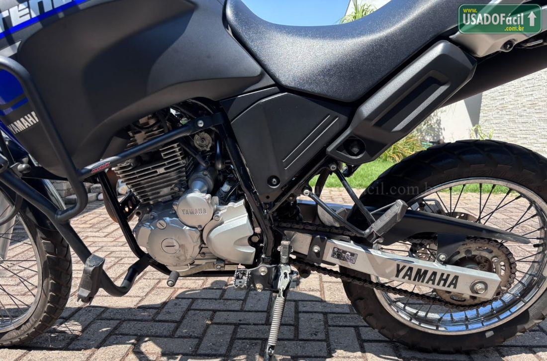 YAMAHA XTZ 250 Tenere BlueFlex 2018/2019 — foto 2 de 11