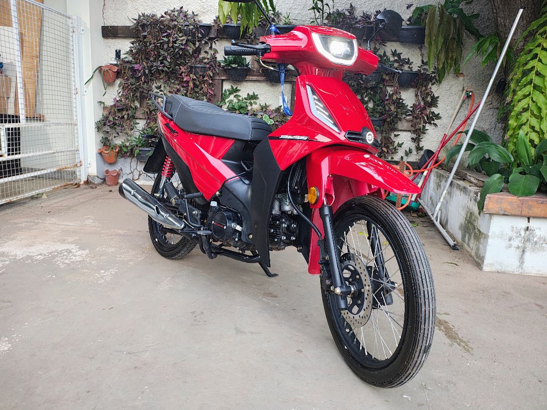 Shineray Shineray SHI 50 Phoenix 2025/2026 — foto 12 de 13