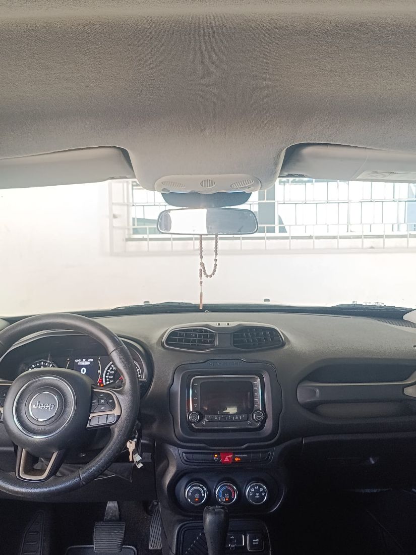 Jeep Renegade 1.8 4x2 Automático Flex 2016/2016 — foto 14 de 15