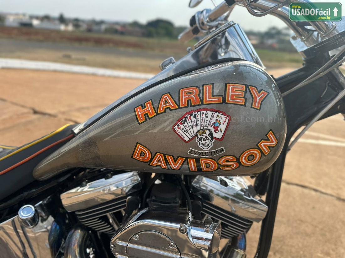 HARLEY-DAVIDSON harley davidson FAT BOY FLSTF 1997/1997 — foto 2 de 9