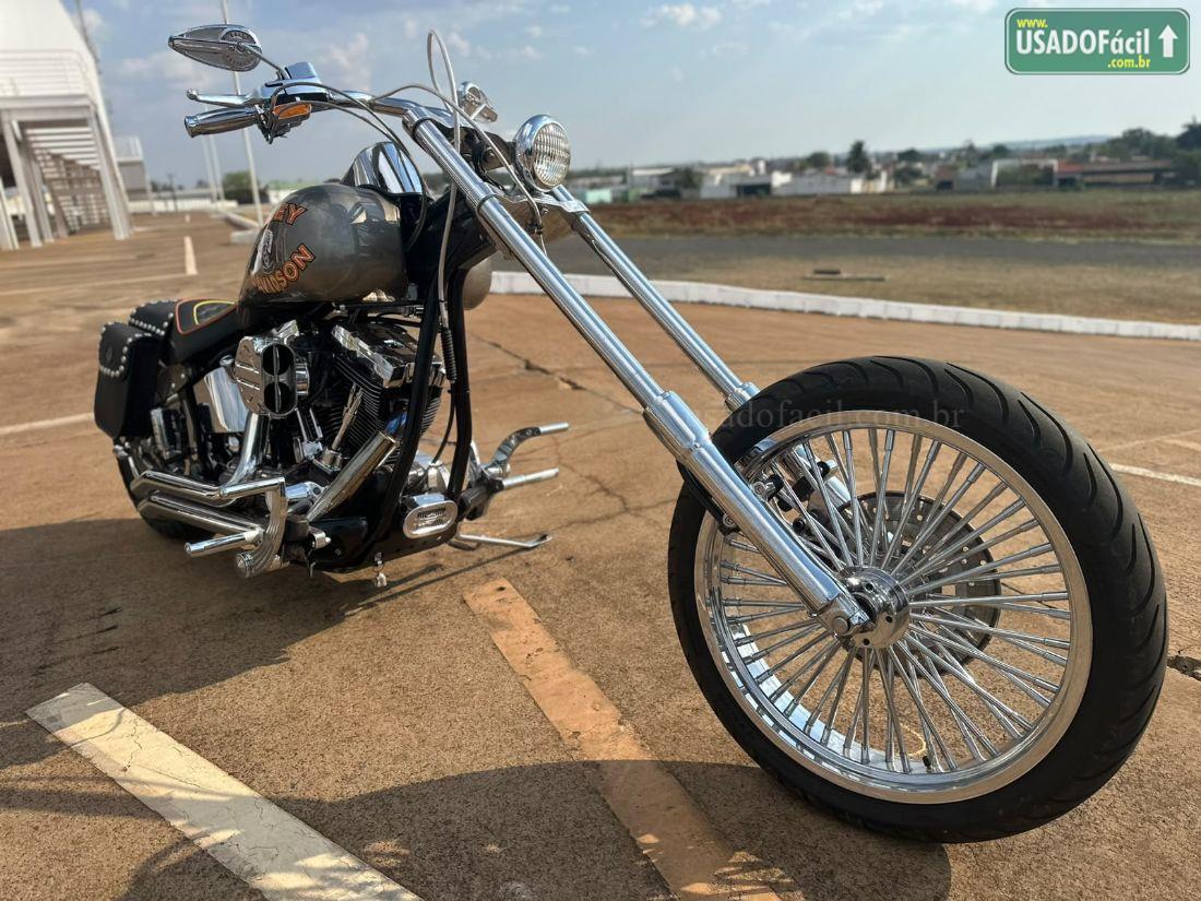 HARLEY-DAVIDSON harley davidson FAT BOY FLSTF 1997/1997 — foto 4 de 9