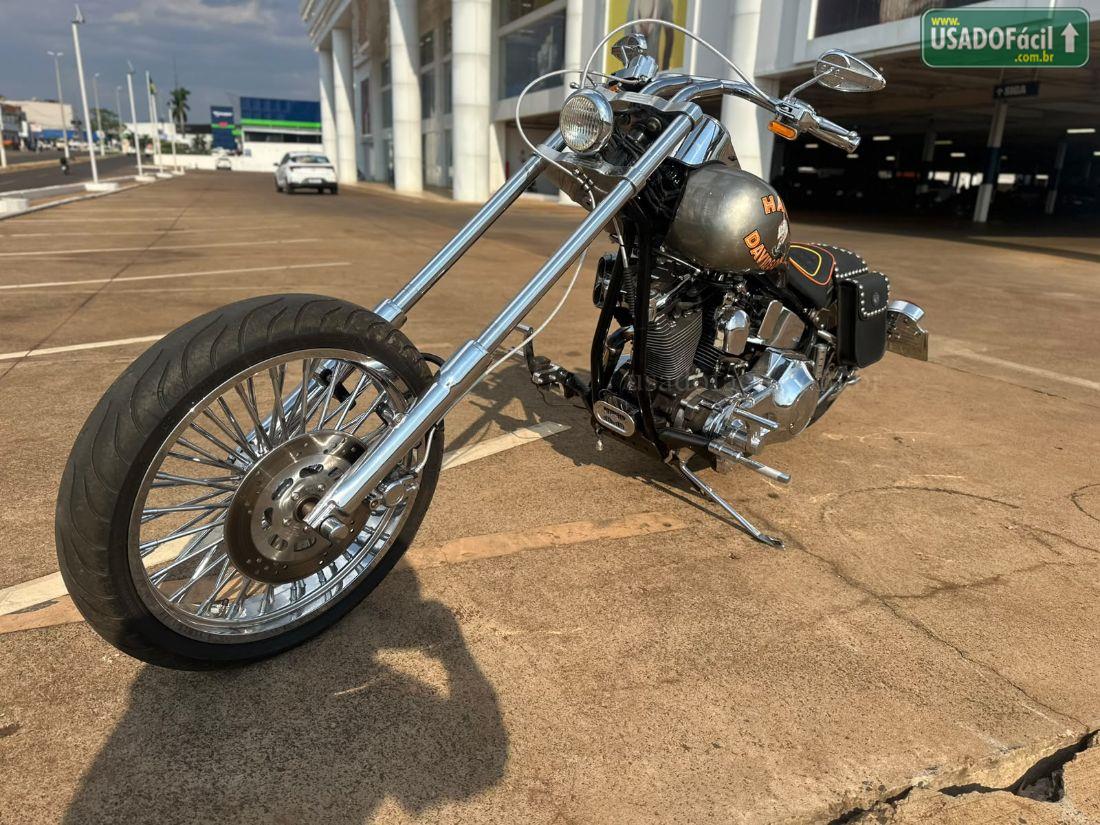 HARLEY-DAVIDSON harley davidson FAT BOY FLSTF 1997/1997 — foto 6 de 9
