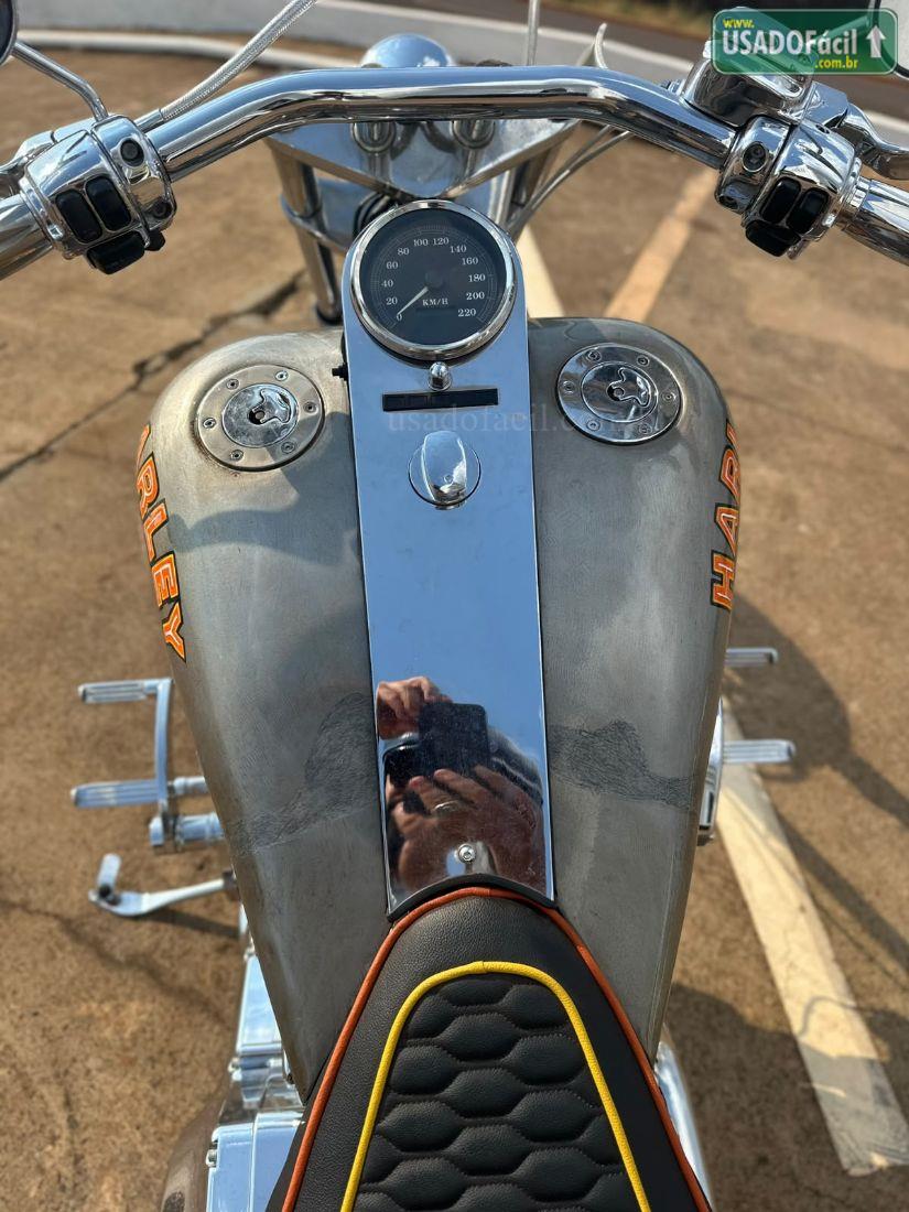 HARLEY-DAVIDSON harley davidson FAT BOY FLSTF 1997/1997 — foto 8 de 9