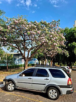 Palio Weekend Adventure Tryon 1.8 Mpi Flex 2005/2005 em Cuiabá - MT