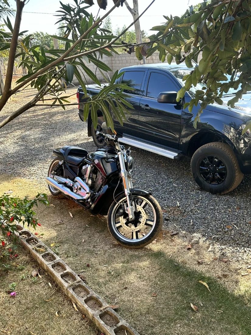 HARLEY-DAVIDSON Harley-Davidson V-Rod Muscle 1250cc 2015/2015 — foto 4 de 8