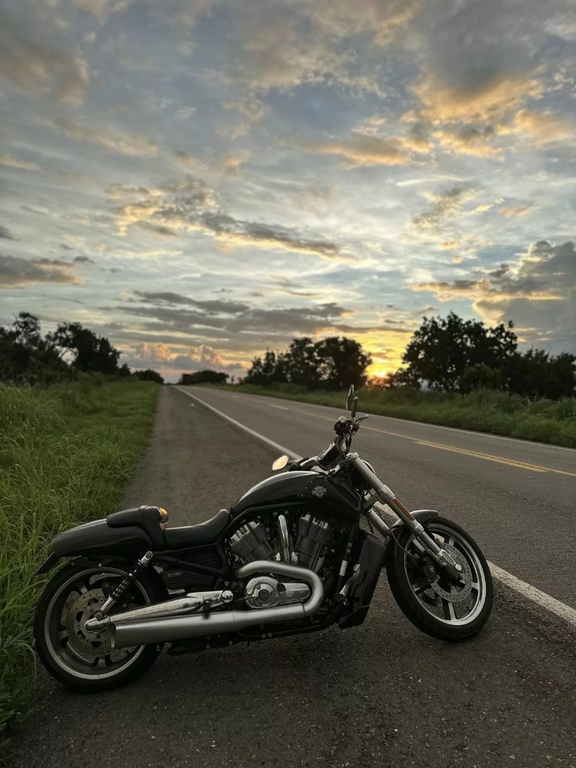 HARLEY-DAVIDSON Harley-Davidson V-Rod Muscle 1250cc 2015/2015 — foto 6 de 8
