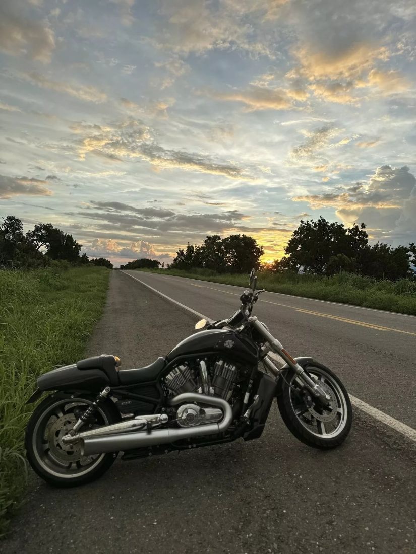 HARLEY-DAVIDSON Harley-Davidson V-Rod Muscle 1250cc 2015/2015 — foto 7 de 8