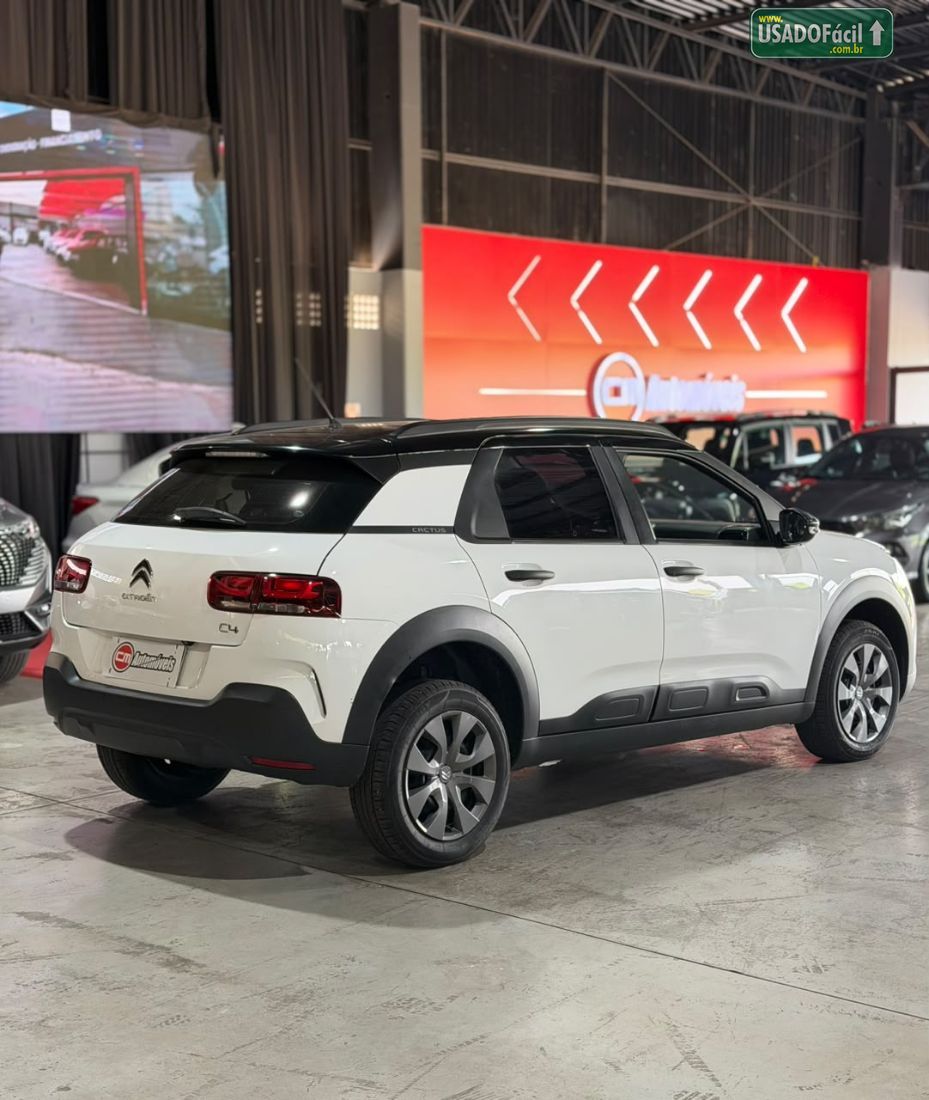 Citroen C4 Cactus Feel 1.6 Automático Flex 2019/2019 — foto 14 de 15