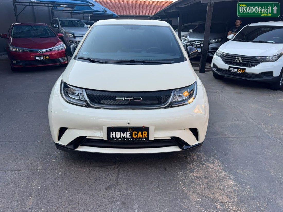 BYD BYD Dolphin EV GS Elétrico 2023/2024 — foto 2 de 12