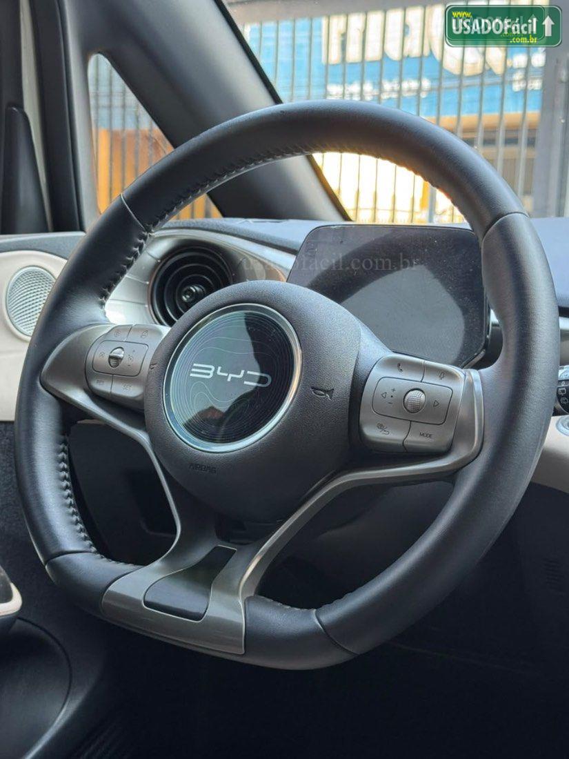 BYD BYD Dolphin EV GS Elétrico 2023/2024 — foto 9 de 12