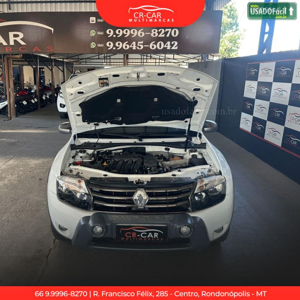 RENAULT Duster Techroad 2.0 Mecânico Hi-Flex 2013/2014 — foto 13 de 15