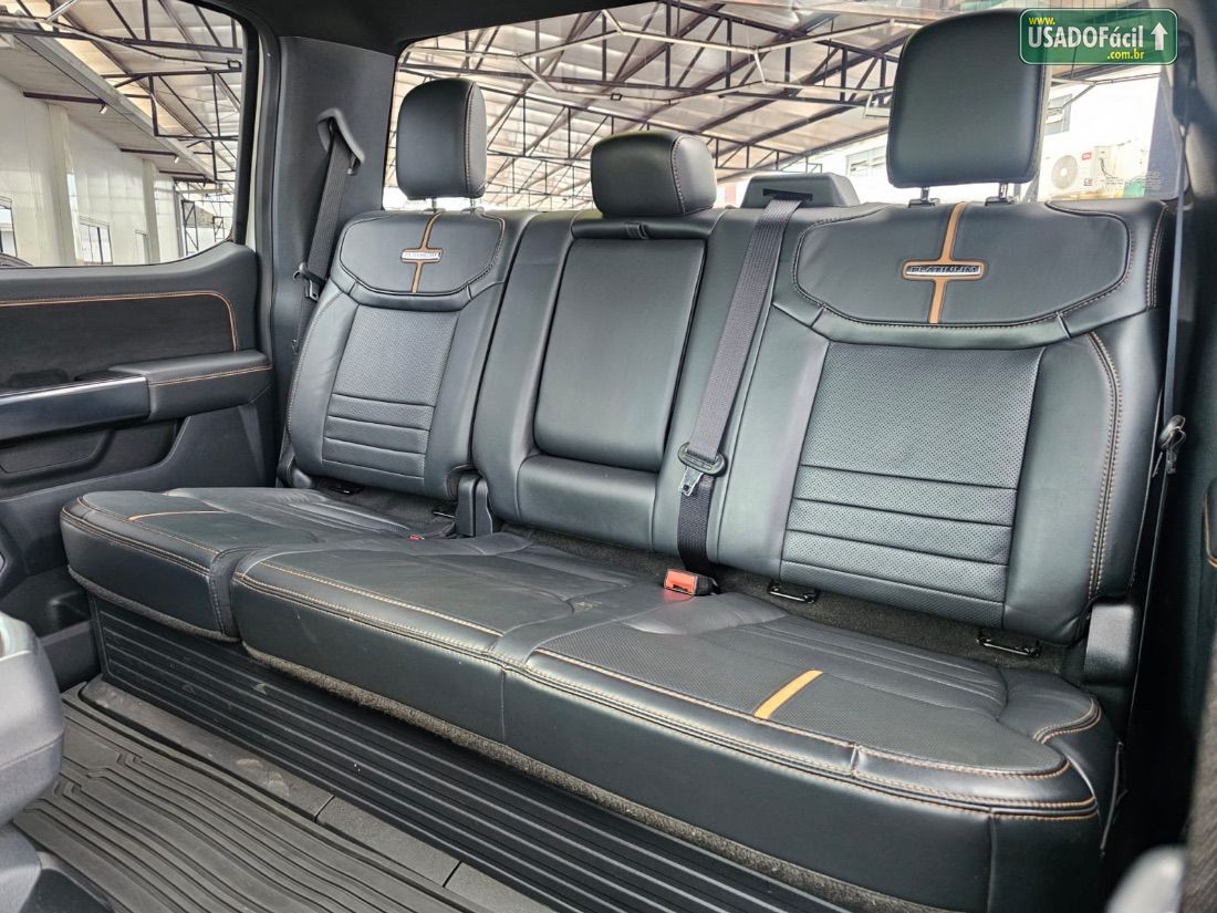 Ford F-150 Platinum 4x4 5.0 V8 2023/2023 — foto 18 de 18