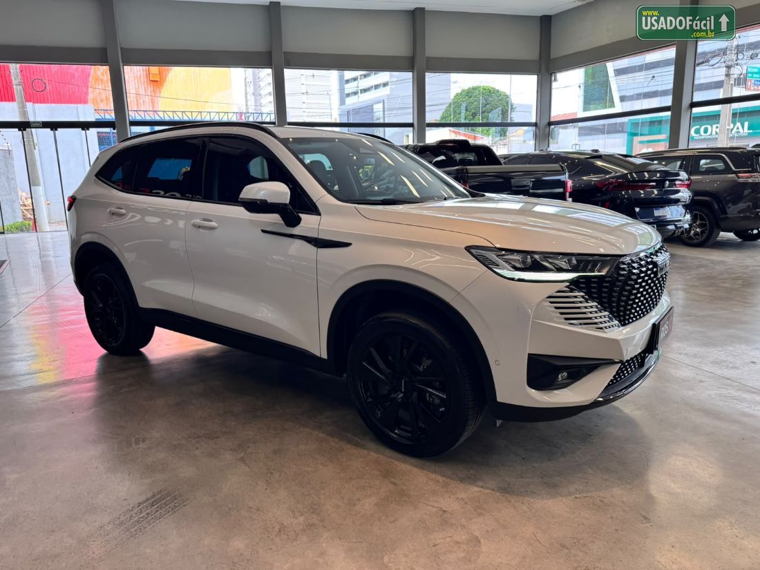 GWM Haval H6 Premium HEV Híbrido 2024/2025 — foto 2 de 11