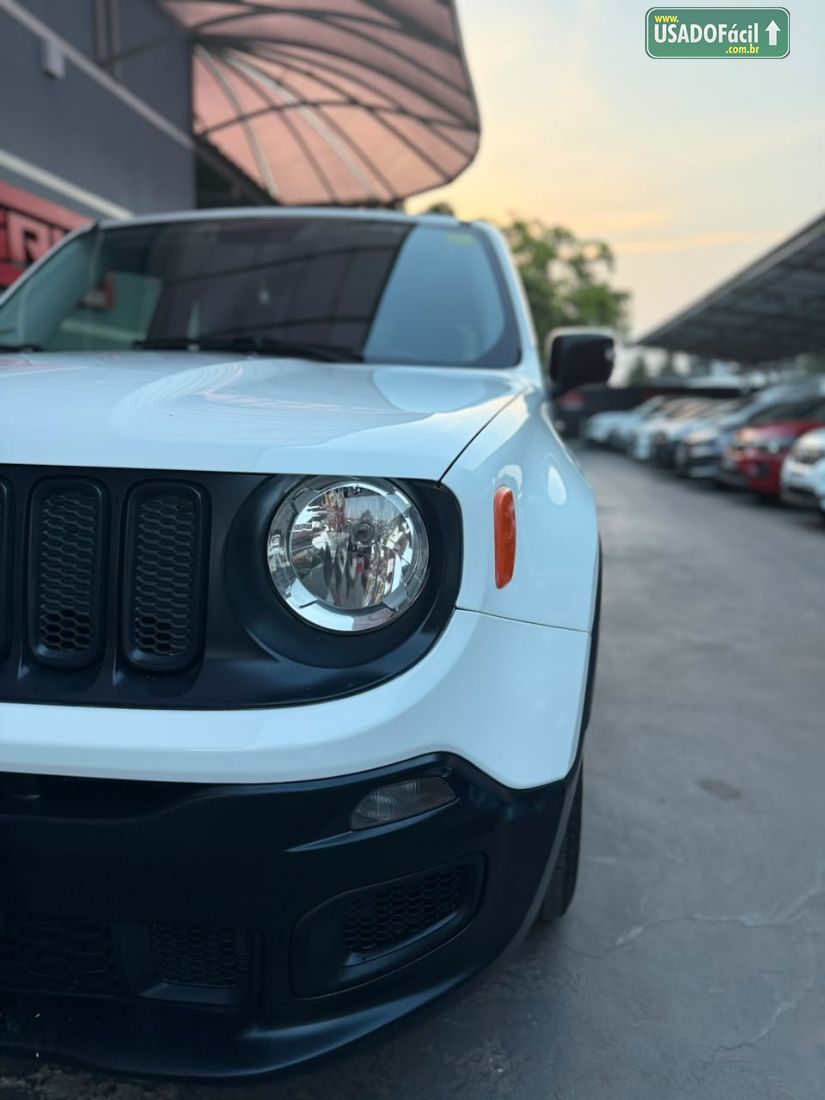 Jeep Renegade 1.8 4x2 Automático Flex 2018/2018 — foto 6 de 16