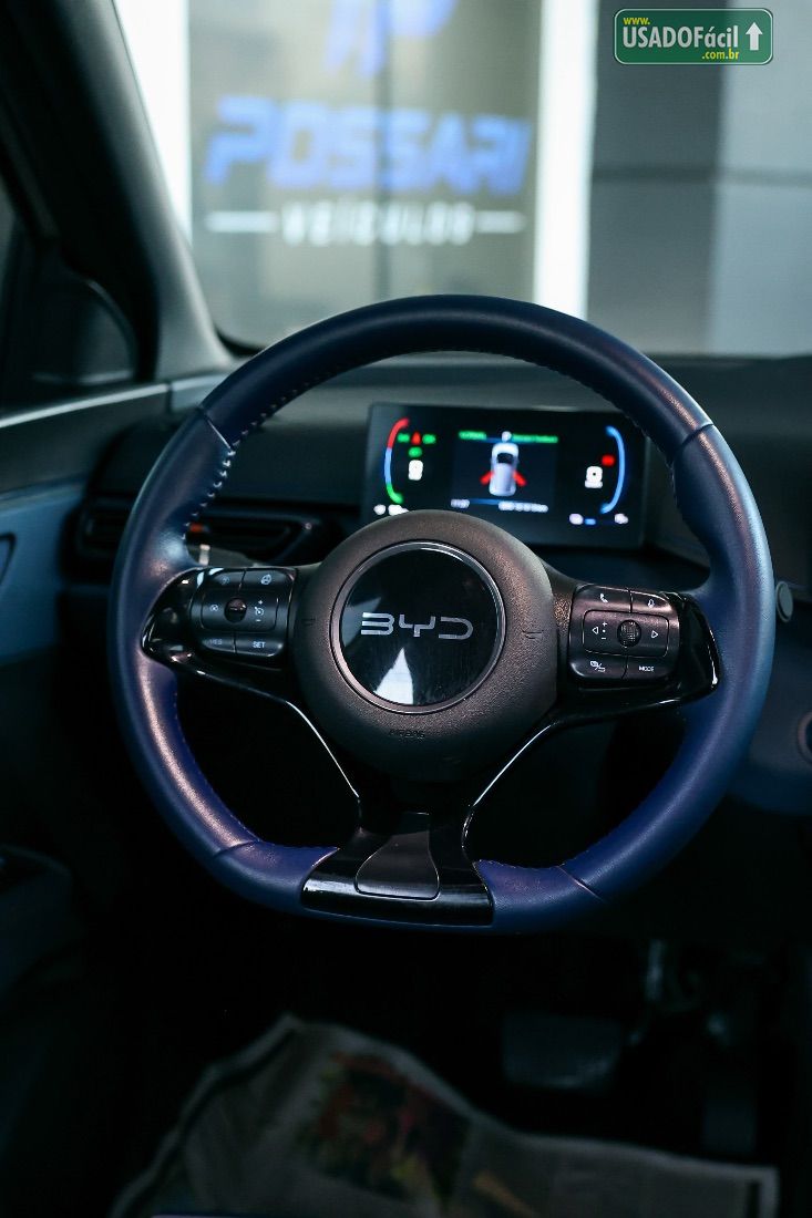 BYD BYD Dolphin Mini Elétrico 2024/2025 — foto 4 de 10