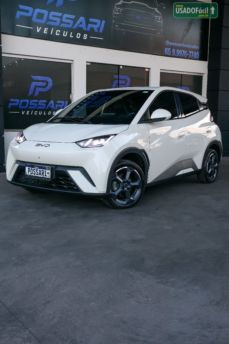 BYD BYD Dolphin Mini Elétrico 2024/2025 — foto 6 de 10