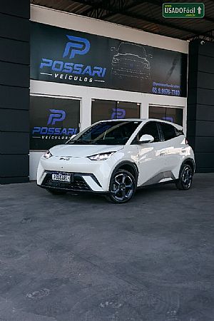 BYD BYD Dolphin Mini Elétrico