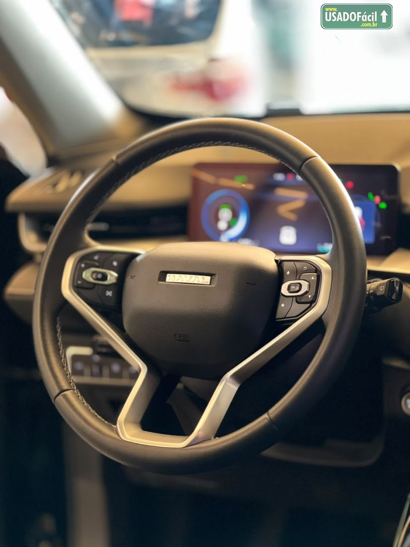 GWM Haval H6 Premium PHEV AWD Híbrido 2023/2024 — foto 12 de 13