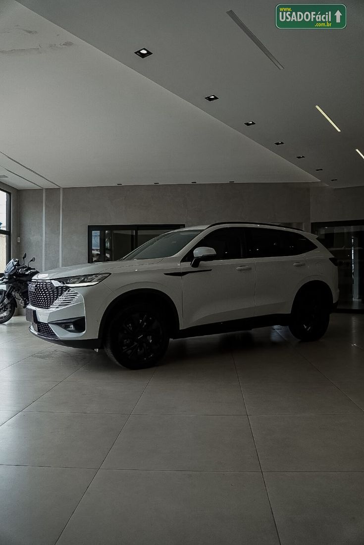 GWM Haval H6 Premium HEV Híbrido 2024/2025 — foto 6 de 18