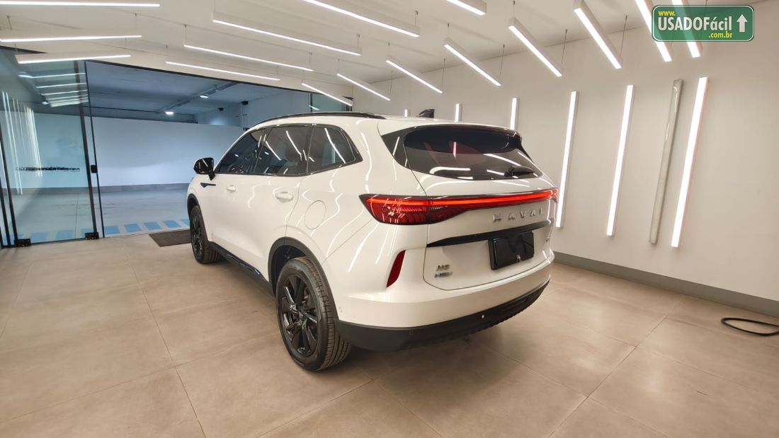 GWM Haval H6 Premium HEV Híbrido 2024/2024 — foto 6 de 9