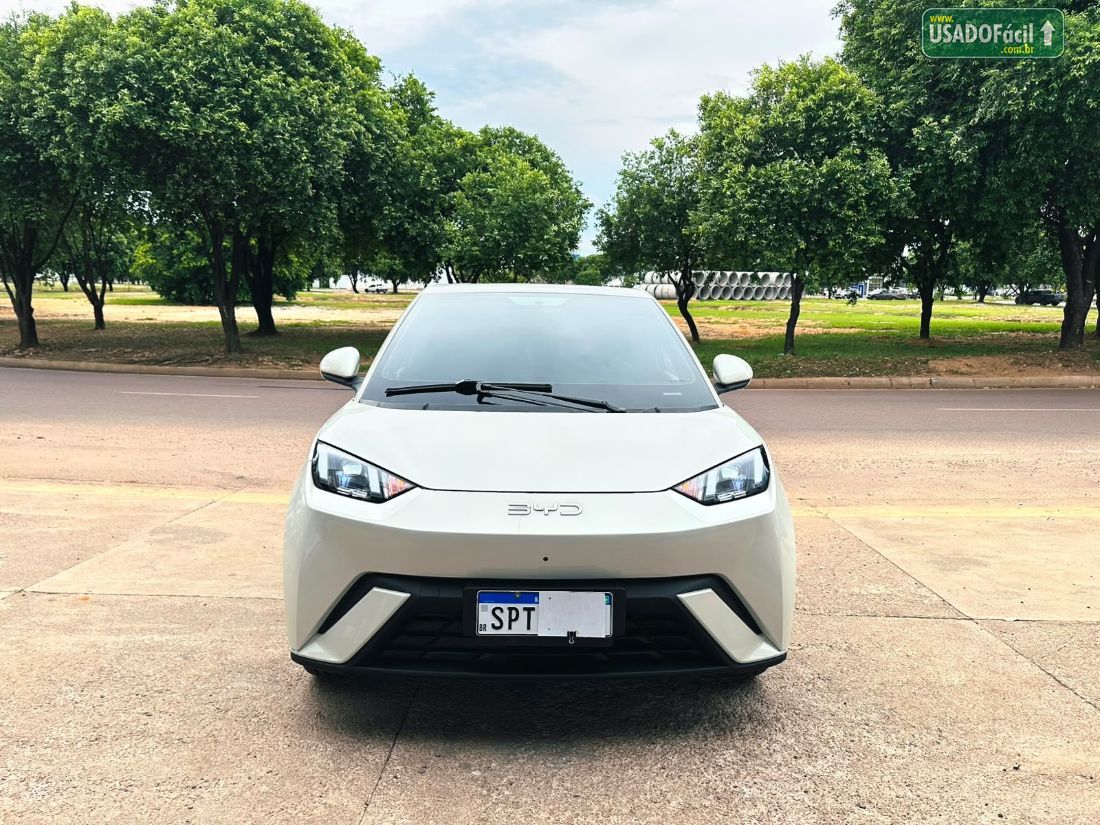BYD BYD Dolphin Mini Elétrico 2024/2025 — foto 2 de 16