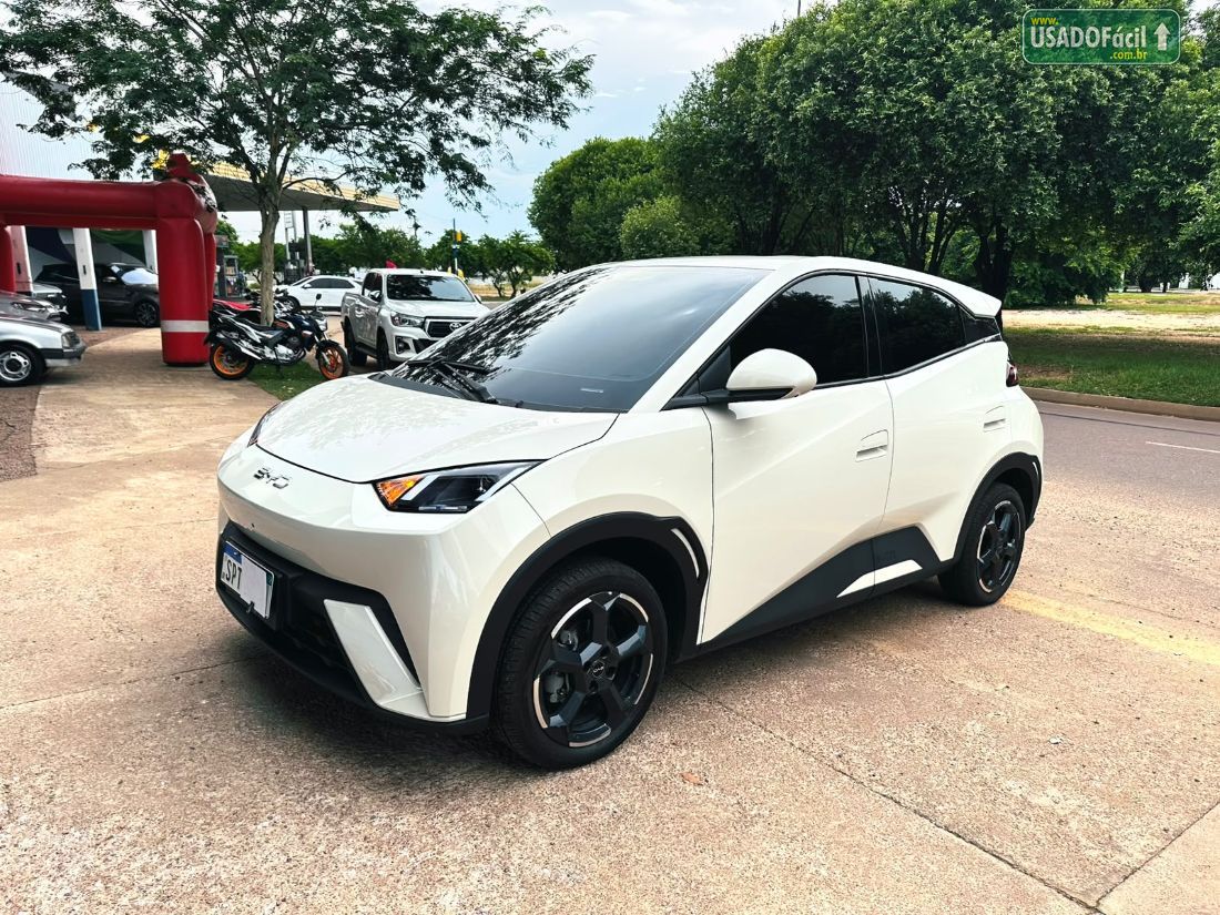 BYD BYD Dolphin Mini Elétrico 2024/2025 — foto 3 de 16