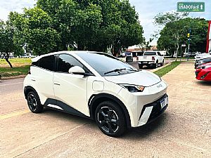 BYD BYD Dolphin Mini Elétrico