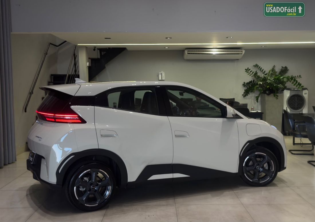 BYD BYD Dolphin Mini Elétrico 2024/2025 — foto 4 de 14