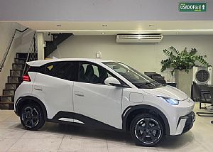 BYD BYD Dolphin Mini Elétrico