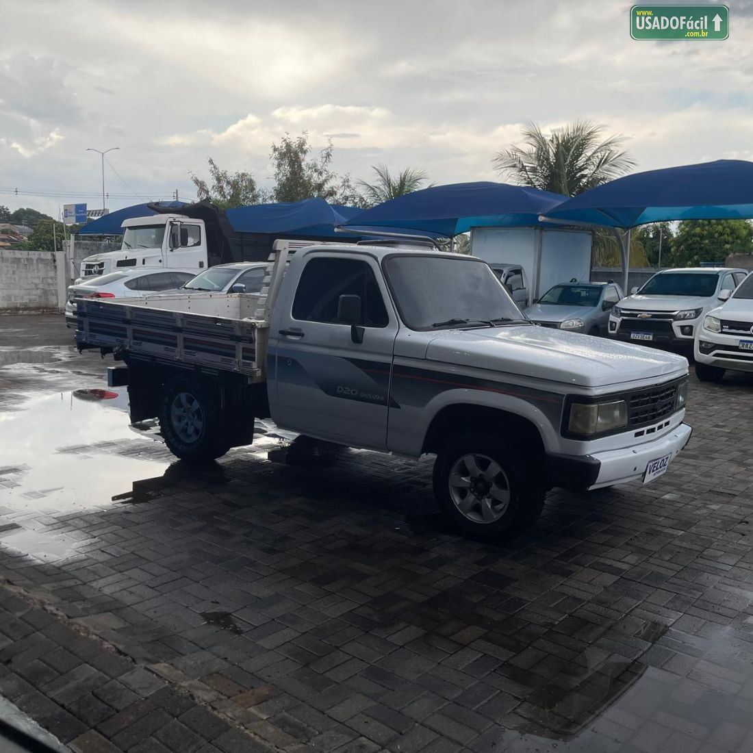 CHEVROLET/GM D-20 Luxe 3.9 1992/1992 — foto 3 de 7