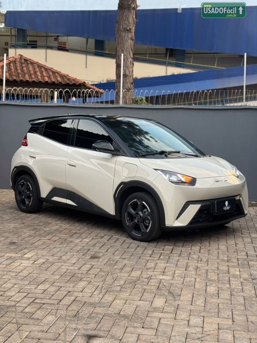 BYD BYD Dolphin Mini Elétrico 2023/2024 — foto 2 de 20
