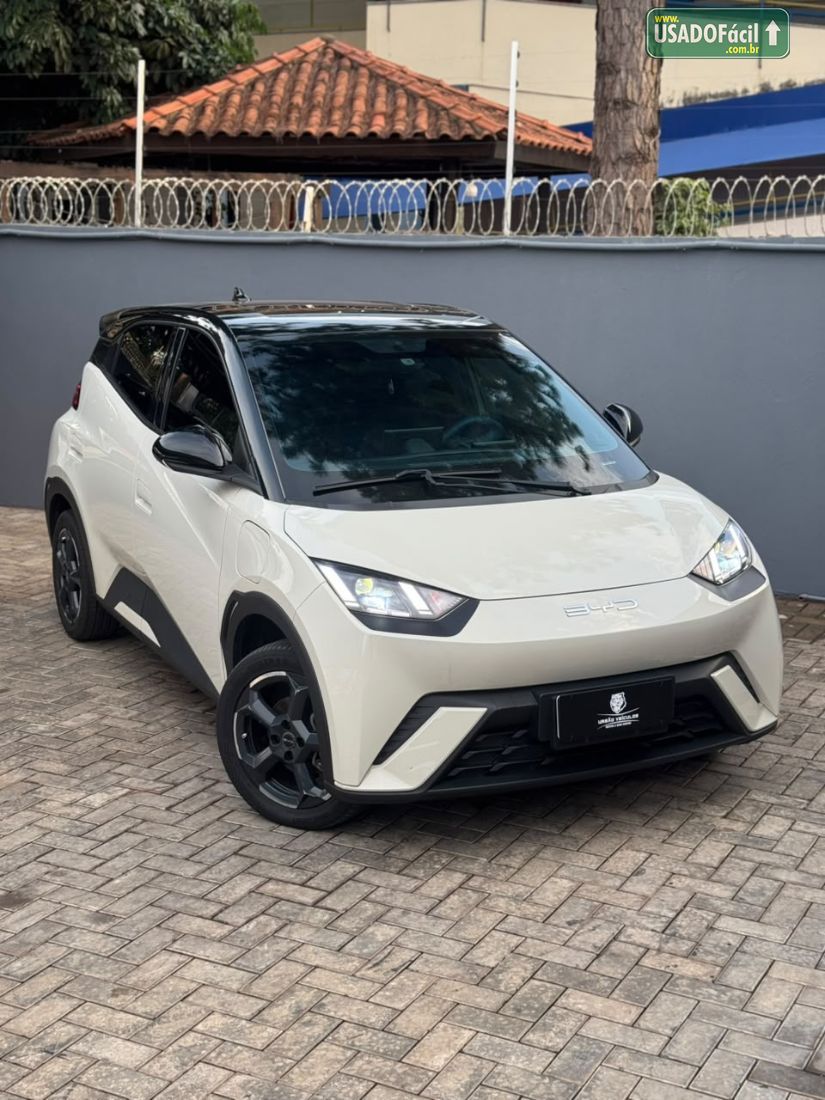 BYD BYD Dolphin Mini Elétrico 2023/2024 — foto 3 de 20
