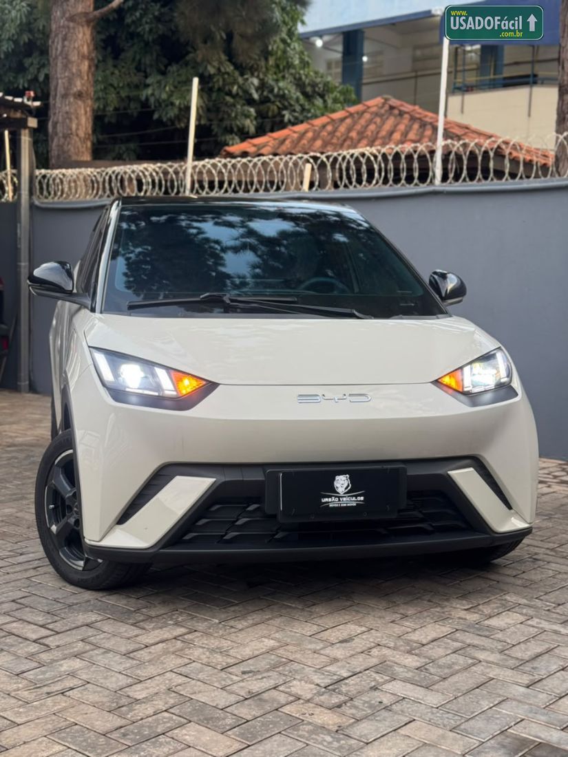 BYD BYD Dolphin Mini Elétrico 2023/2024 — foto 4 de 20