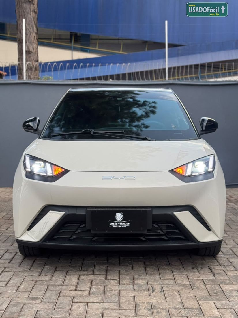 BYD BYD Dolphin Mini Elétrico 2023/2024 — foto 5 de 20