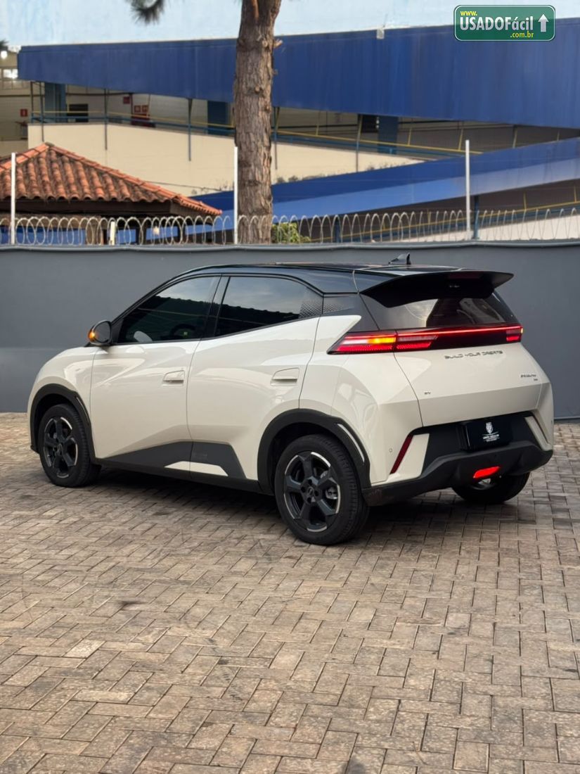 BYD BYD Dolphin Mini Elétrico 2023/2024 — foto 8 de 20
