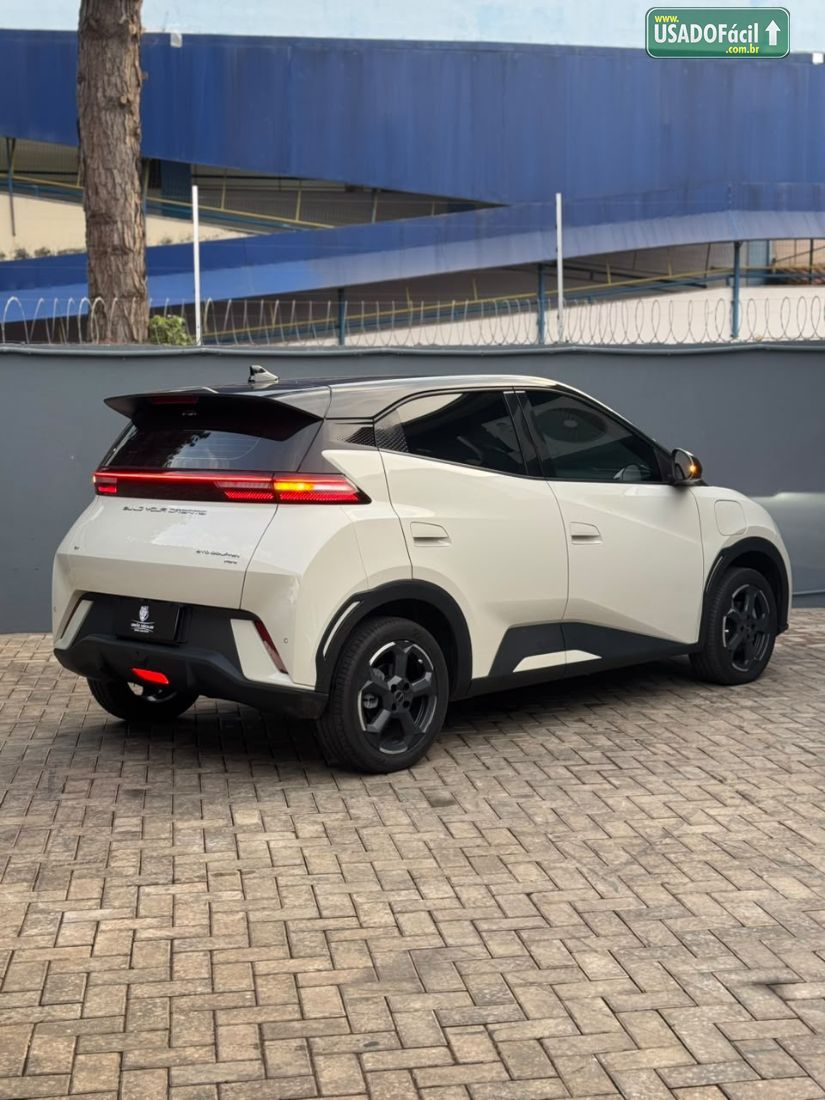 BYD BYD Dolphin Mini Elétrico 2023/2024 — foto 9 de 20