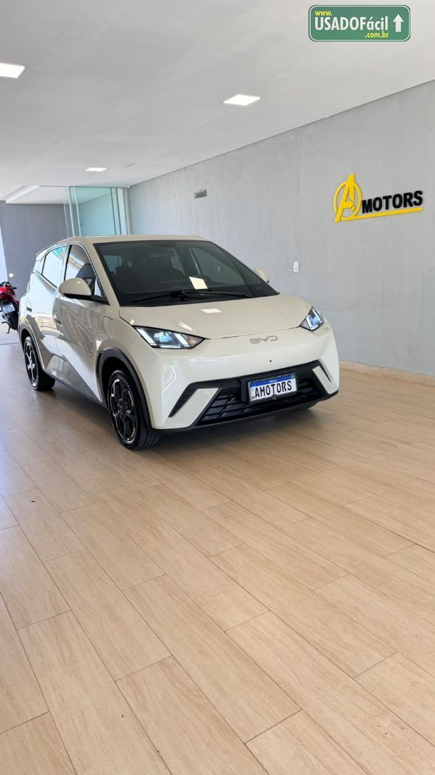 BYD BYD Dolphin Mini Elétrico 2025/2026 — foto 2 de 19