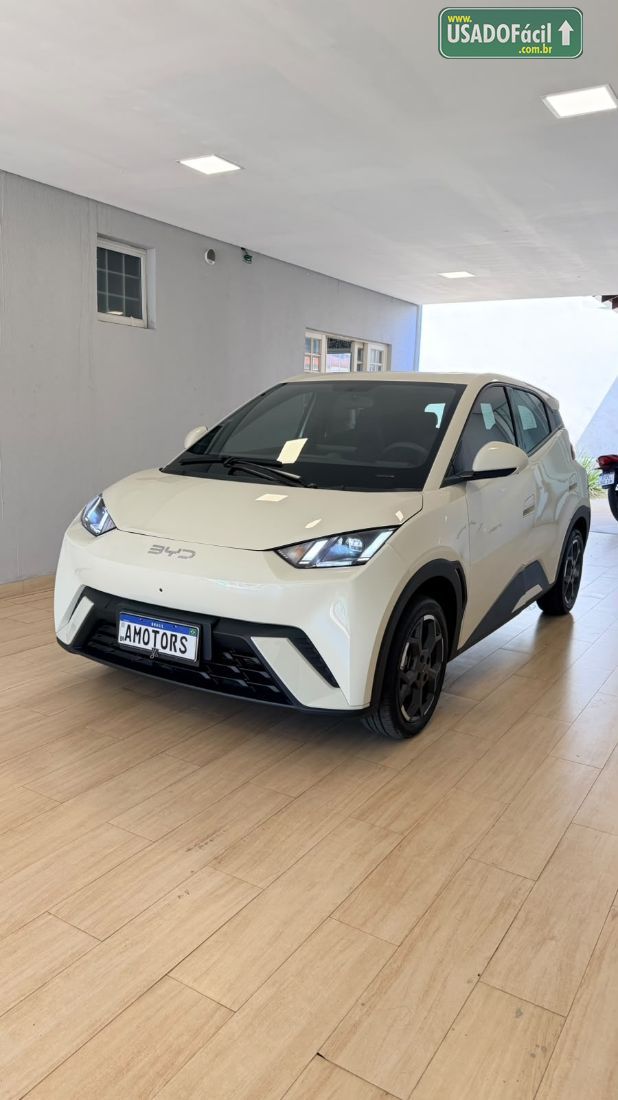 BYD BYD Dolphin Mini Elétrico 2025/2026 — foto 3 de 19