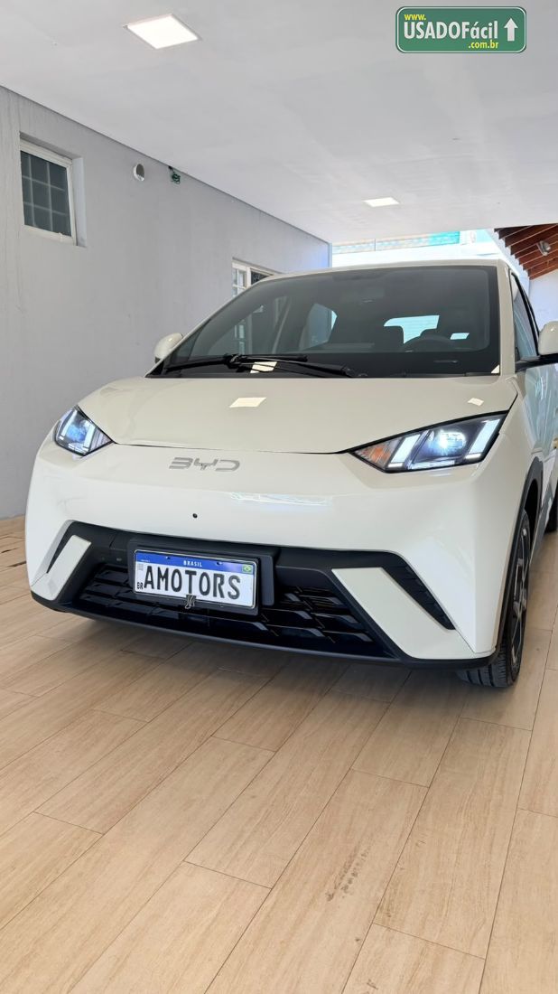 BYD BYD Dolphin Mini Elétrico 2025/2026 — foto 4 de 19