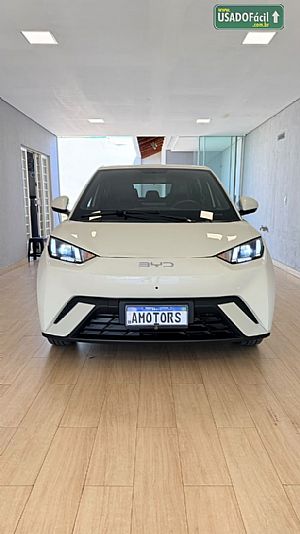BYD BYD Dolphin Mini Elétrico