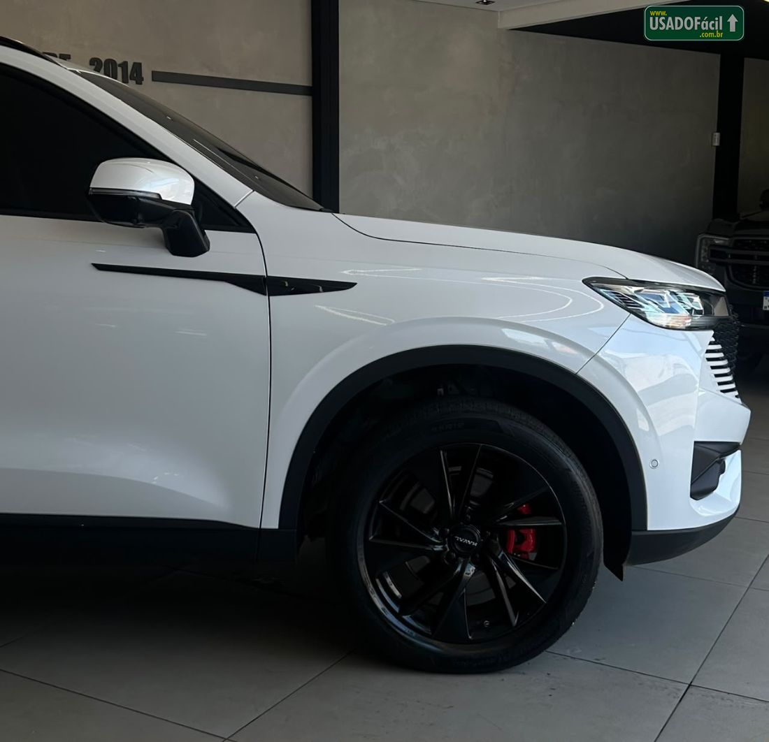 GWM Haval H6 Premium HEV Híbrido 2024/2025 — foto 3 de 13