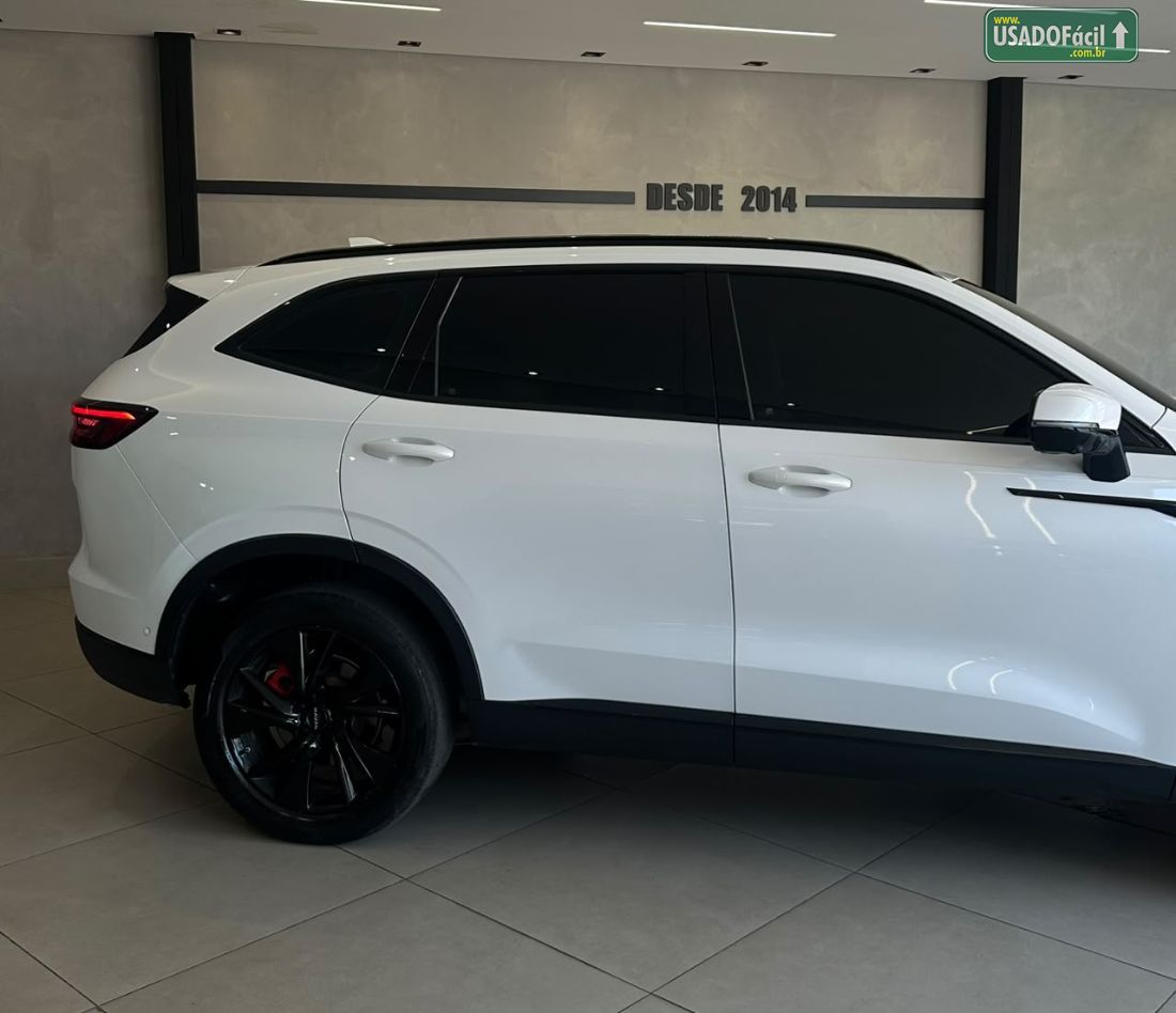 GWM Haval H6 Premium HEV Híbrido 2024/2025 — foto 5 de 13
