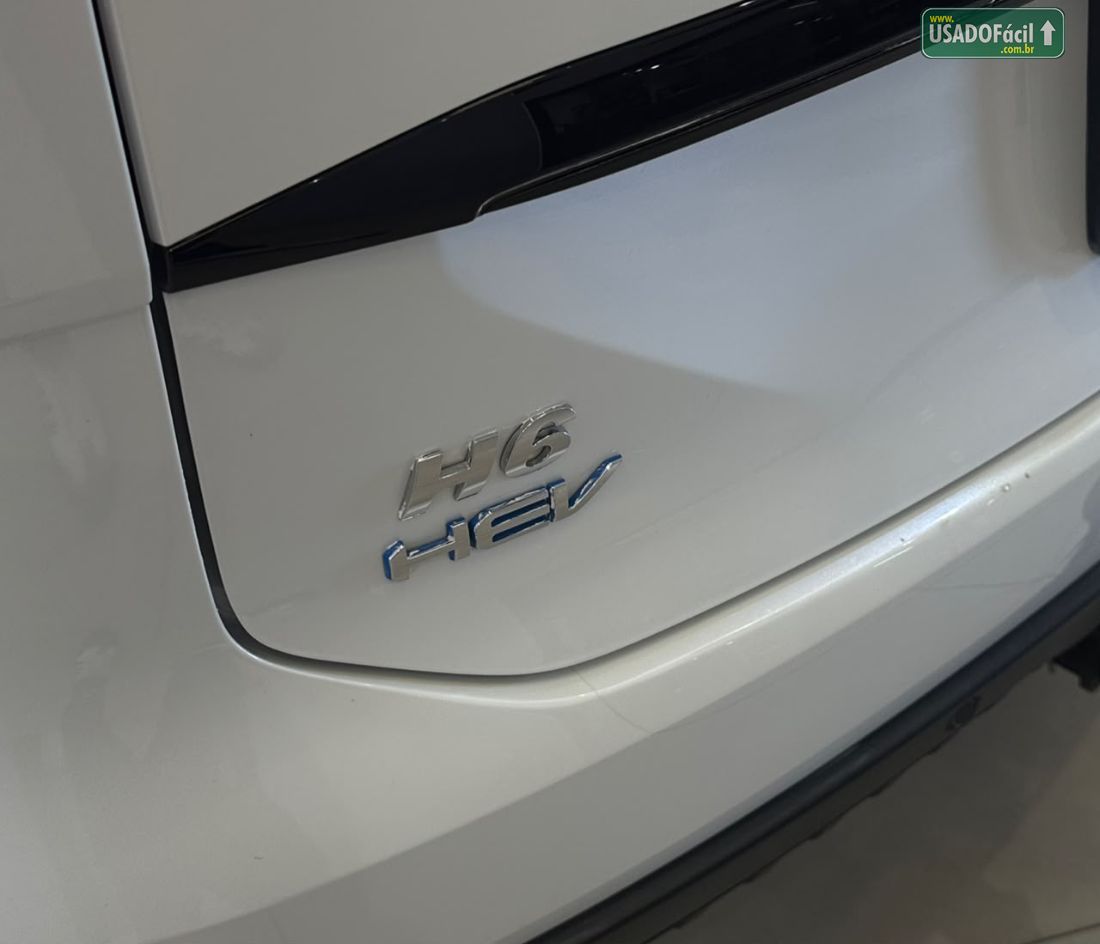 GWM Haval H6 Premium HEV Híbrido 2024/2025 — foto 6 de 13