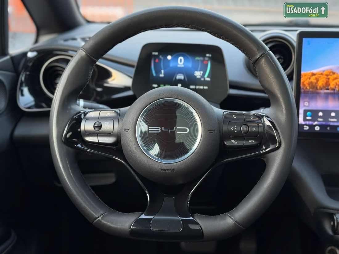 BYD BYD Dolphin Plus Elétrico 2024/2025 — foto 12 de 29