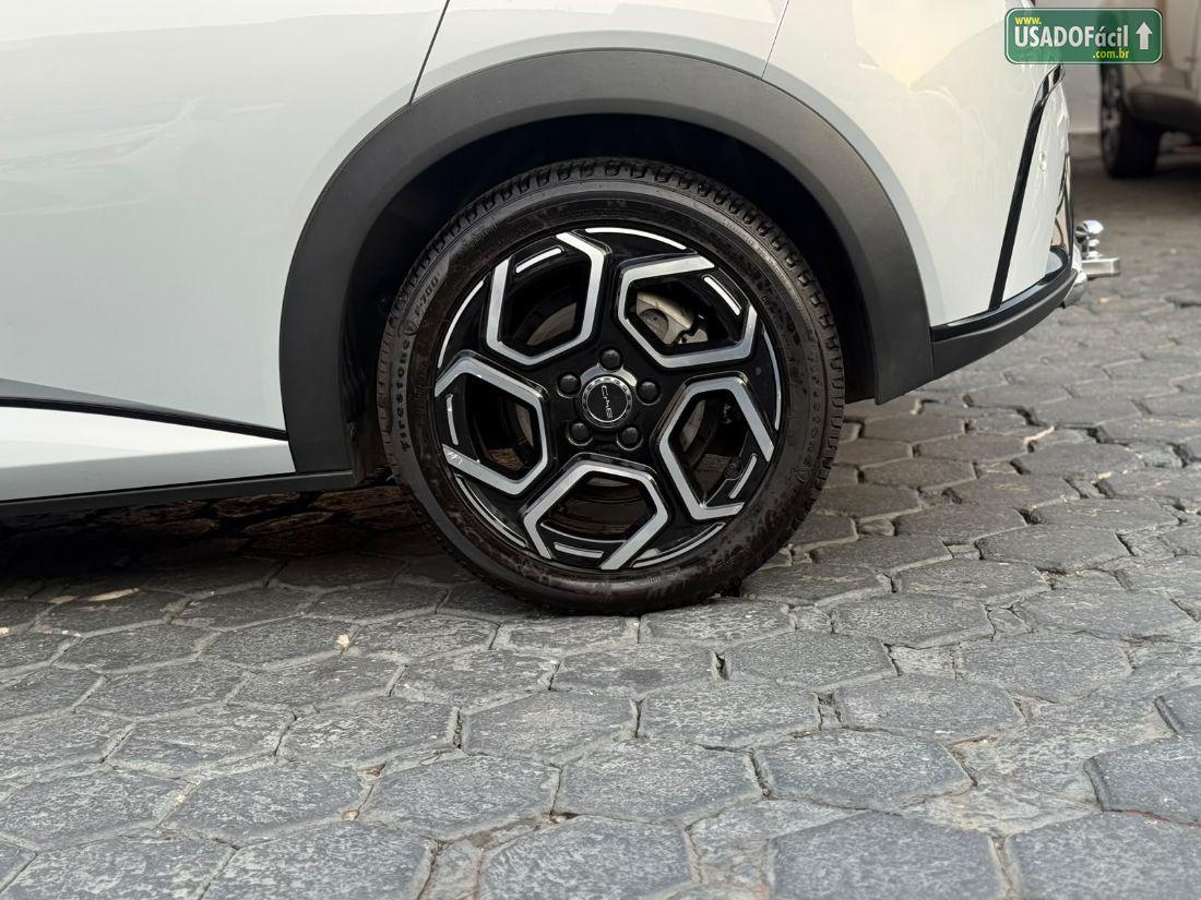BYD BYD Dolphin Plus Elétrico 2024/2025 — foto 28 de 29