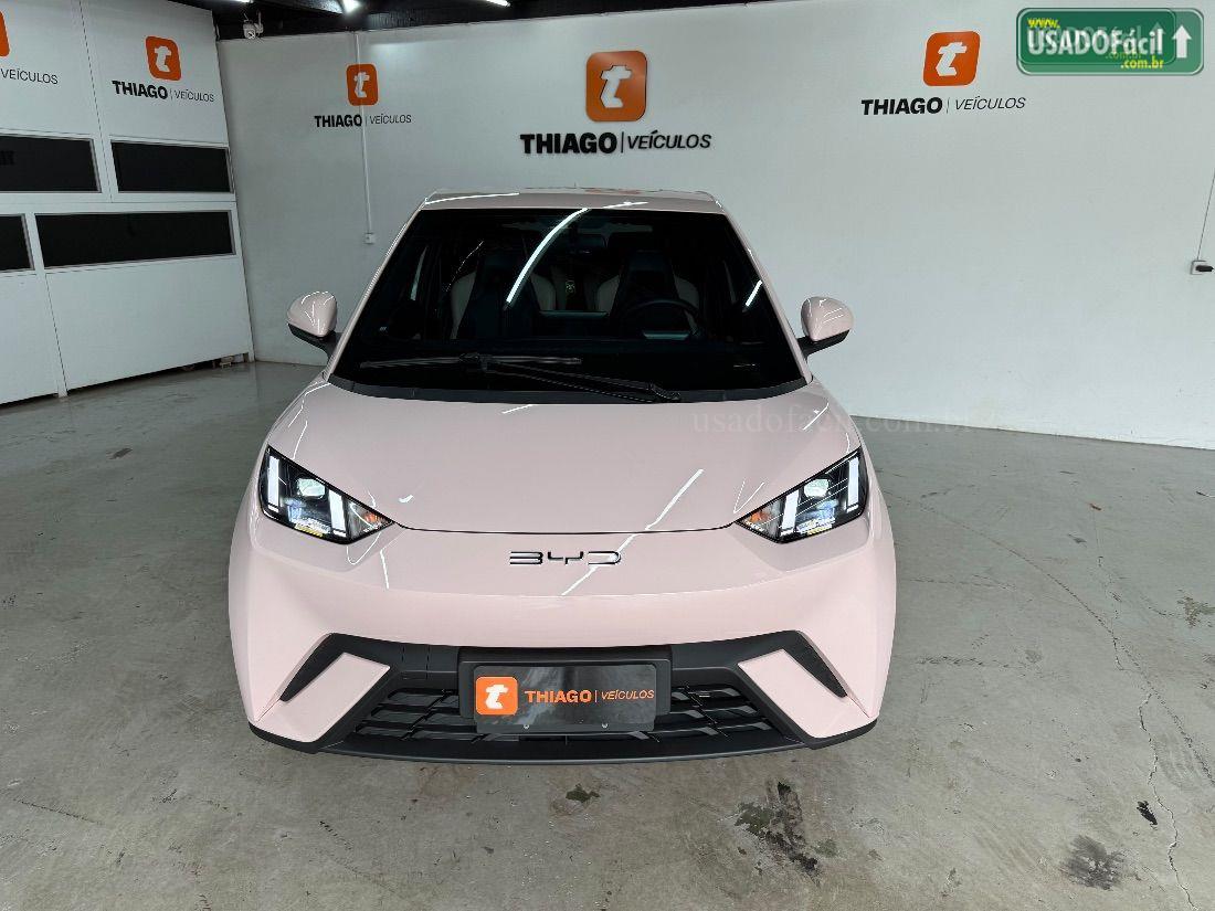 BYD BYD Dolphin Mini GS Elétrico 2024/2025 — foto 10 de 30