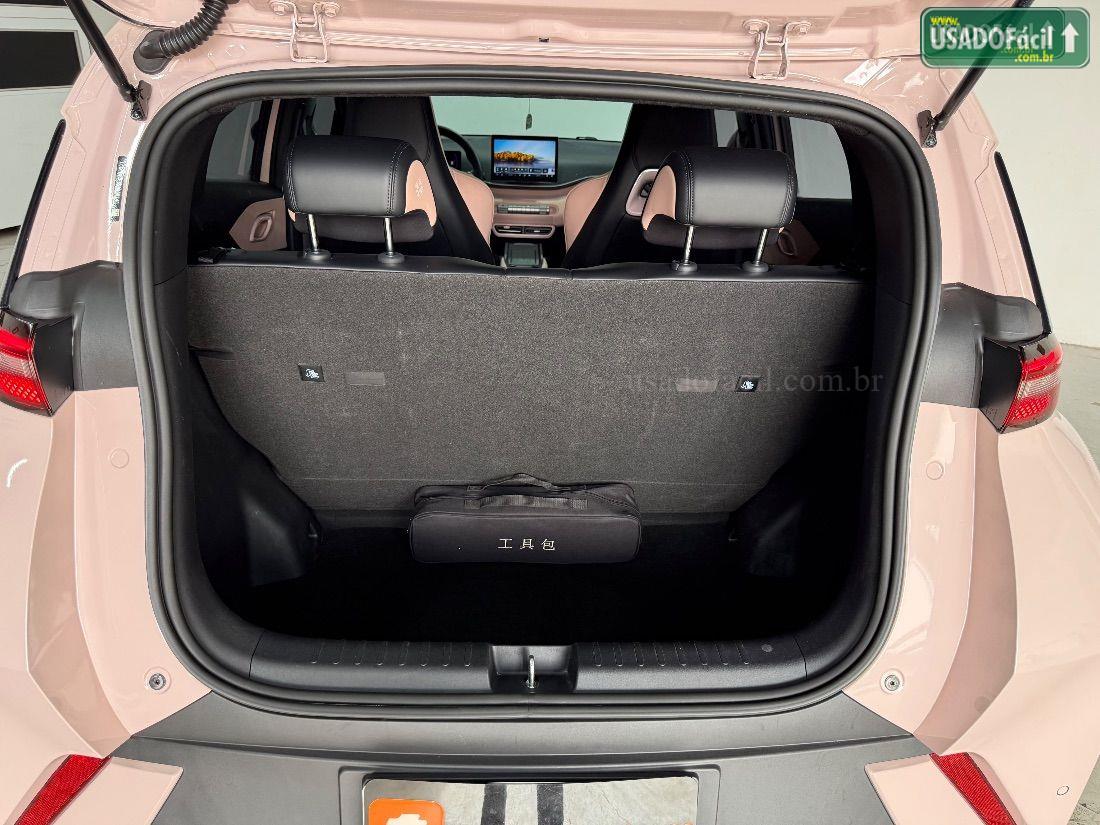 BYD BYD Dolphin Mini GS Elétrico 2024/2025 — foto 13 de 30