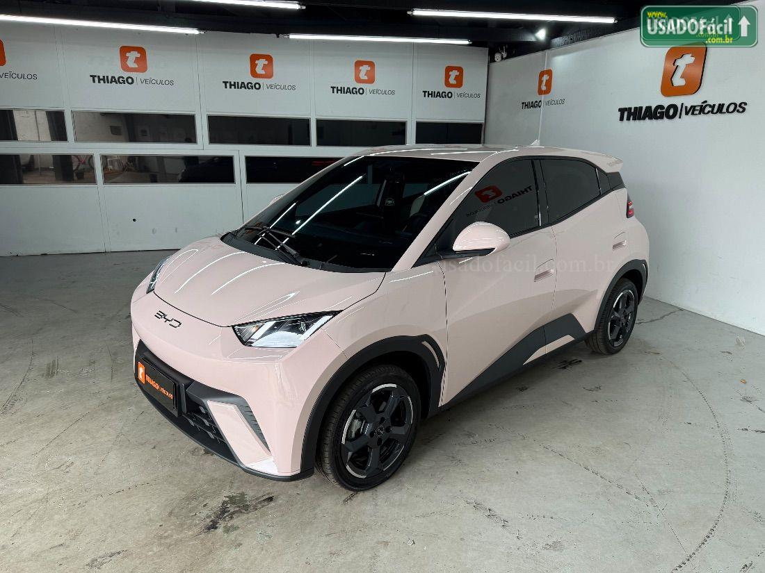 BYD BYD Dolphin Mini GS Elétrico 2024/2025 — foto 2 de 30